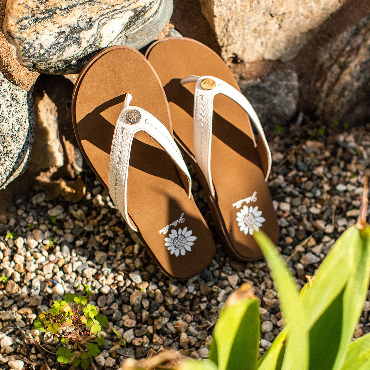 Fallen Logo Sandal - Ivory {Yellowbox}